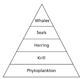 Biology 1 Warm-up Quiz #3 - Quiz